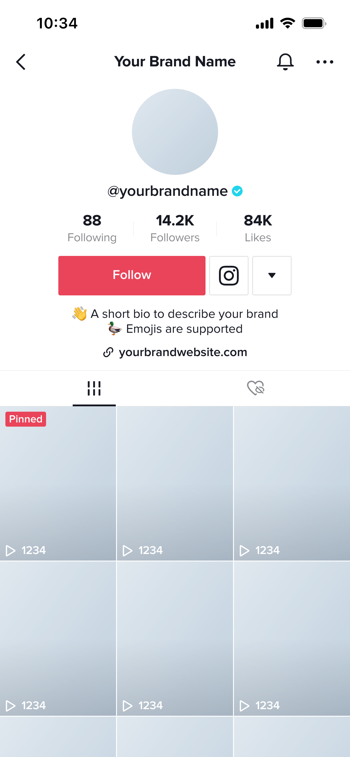 TikTok Profile Template